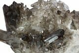 Gorgeous, Dark Smoky Quartz Crystal Cluster - Brazil #124611-2